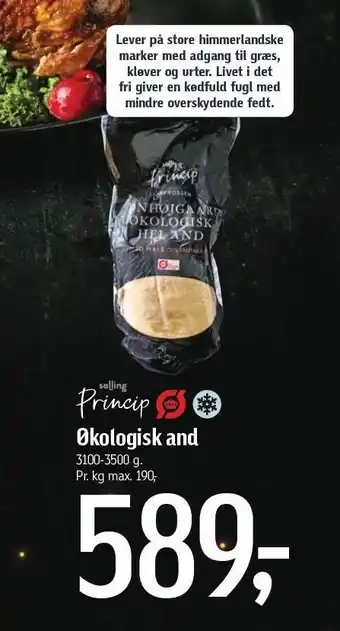 Føtex Øko and tilbud