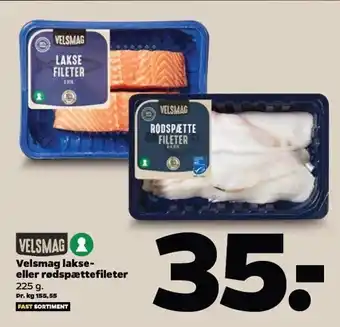 Netto Velsmag lakse- el. rødspættefileter tilbud