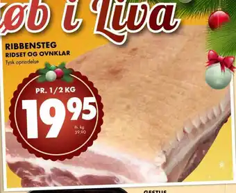 Ribbensteg Ridset Og Ovnklar