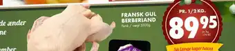 Fransk Gul Berberiand