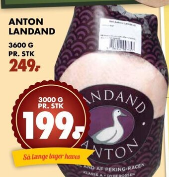 Anton Landand