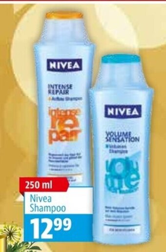zur Krone Nivea Shampoo tilbud