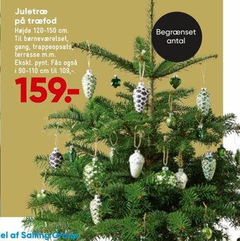 Bilka Juletræ på træfod tilbud