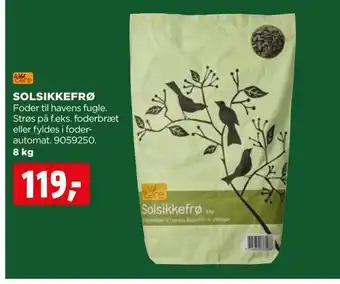 jem & fix Solsikkefrø tilbud