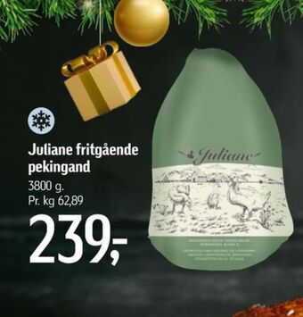 Føtex Juliane and tilbud