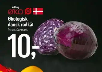 Føtex Salling øko rødkål tilbud