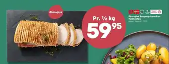 Poppelgris fra hestbjerg grisekam