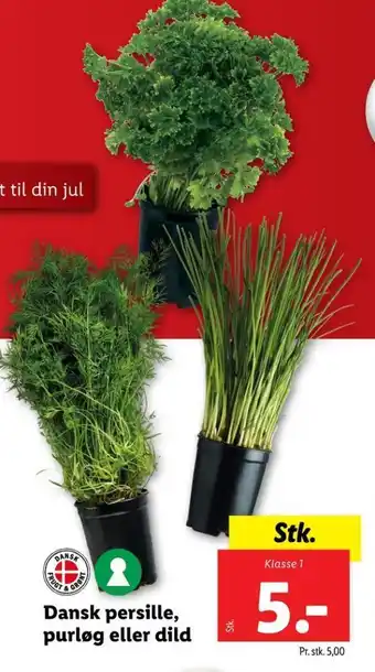 Lidl Ukendt krydderurter tilbud