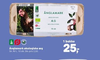 SuperBrugsen Änglamark æg tilbud