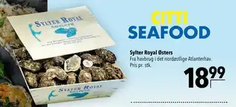 Citti Sylter royal østers tilbud