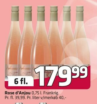 Rose d'Anjou