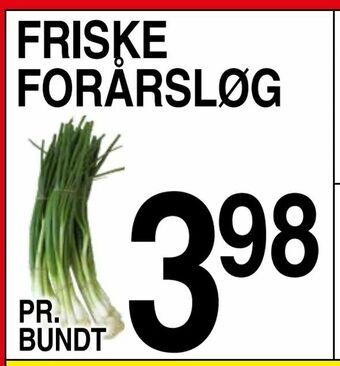 ABC Lavpris Friske forårsløg tilbud