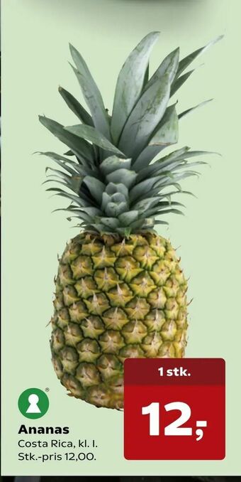 Kvickly Ananas tilbud