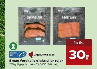 Kvickly Smag forskellen laks eller rejer tilbud