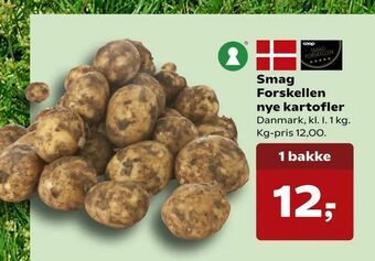 Kvickly Smag Forskellen nye kartofler tilbud