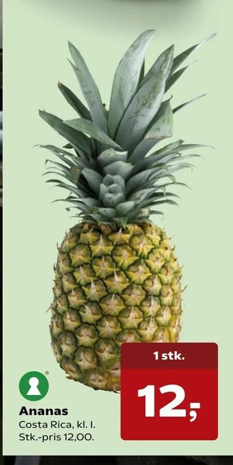 SuperBrugsen Ananas tilbud