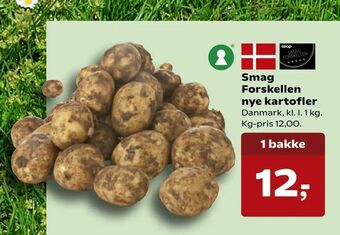 SuperBrugsen Smag Forskellen nye kartofler tilbud
