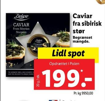 Lidl Caviar fra sibirisk stør tilbud
