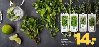 Netto Afskårne krydderurter tilbud