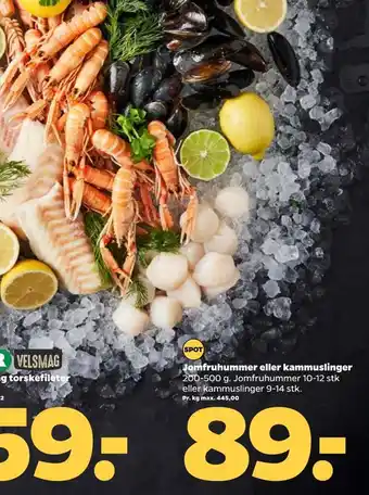 Jomfruhummer eller kammuslinger