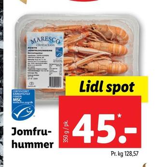 Lidl Jomfruhummer tilbud