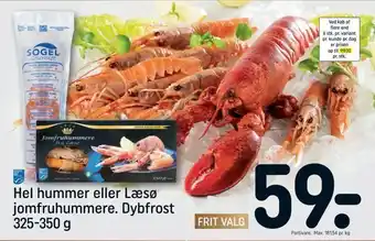 Hel hummer eller læsø jomfruhummere