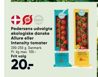 Bilka Pedersens udvalgte økologiske danske Allure eller Intensity tomater tilbud