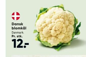 Bilka Dansk blomkål tilbud