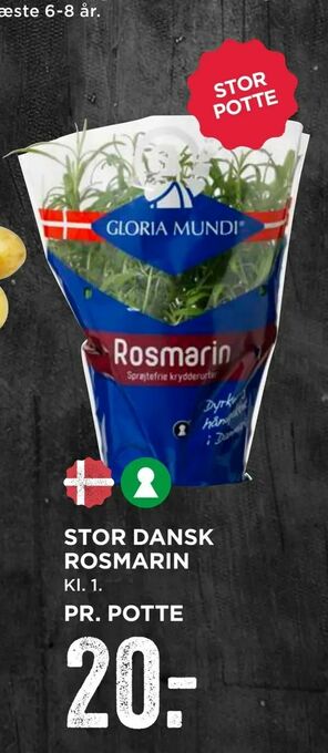 MENY Stor dansk rosmarin tilbud