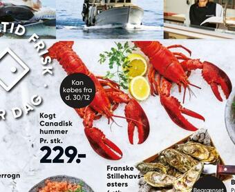 Bilka Kogt canadisk hummer tilbud