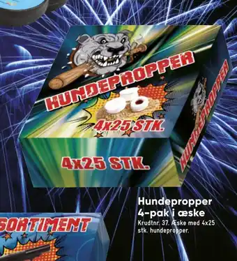 Hundepropper 4-pak i æske