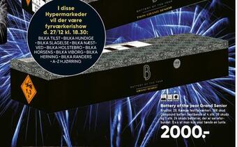 Bilka Battery of the year grand senior tilbud