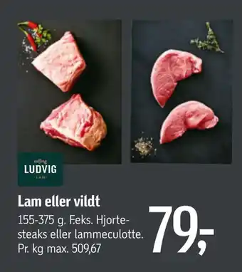 Føtex Lam eller vildt tilbud