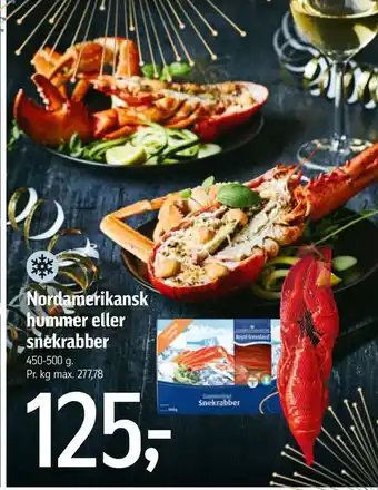 Nordamerikansk hummer eller snekrabber