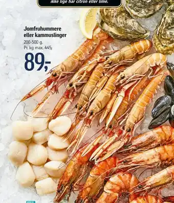 Føtex Jomfruhummere eller kammuslinger tilbud