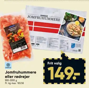 Bilka Jomfruhummere eller rødrejer tilbud