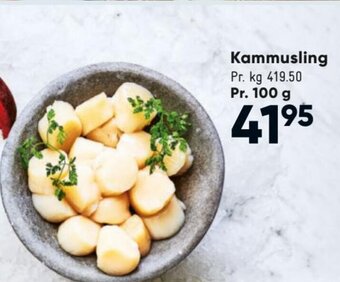 Kammusling