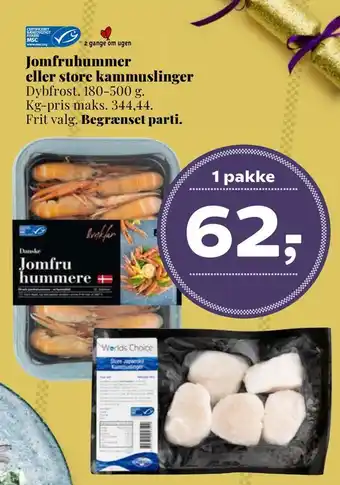 Jomfruhummer eller store kammuslinger