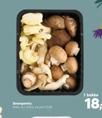 Kvickly Ukendt svampe tilbud