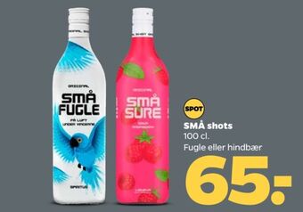 Netto Små fugle shots tilbud
