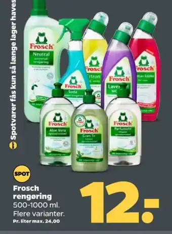 Frosch rengøring - universal