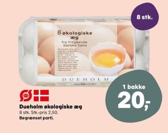 SuperBrugsen Dueholm æg tilbud