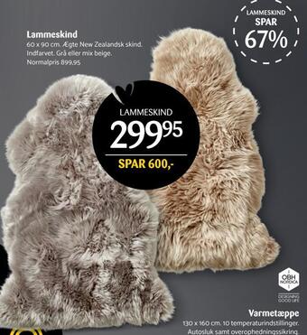 Lammeskind
