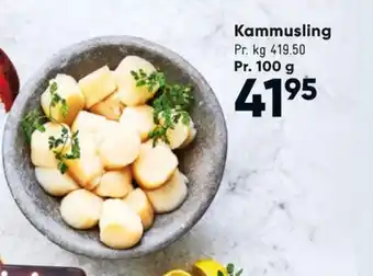 Ukendt kammuslinger