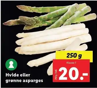 Lidl Hvide el. grønne asparges tilbud