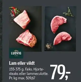 Føtex Lam el. vildt tilbud