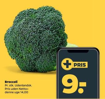 Netto Broccoli tilbud