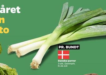 Netto Danske porrer tilbud