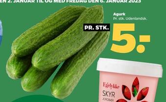 Netto Agurk tilbud