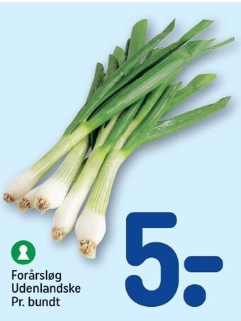 REMA 1000 Forårsløg tilbud